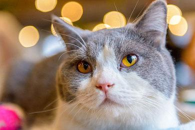 恐怖游戏《创伤后》今秋发售 新预告发布